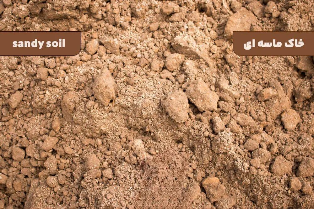 انواع خاک و آشنایی با کاربردهای آن ها 6 17140456233071