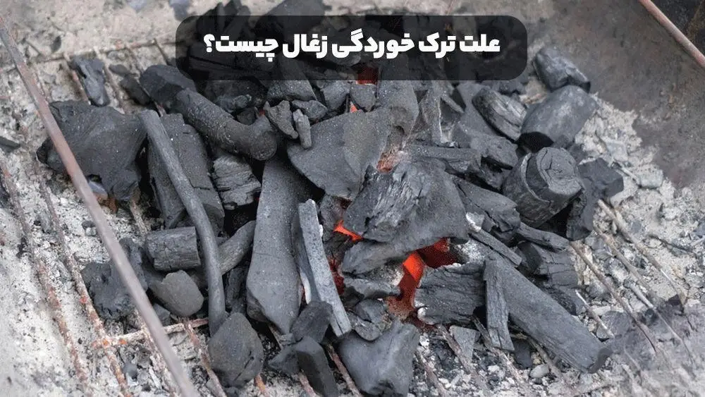 ترک خوردگی زغال